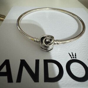 Pandora moments encircled clasp bangle
